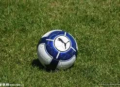 布莱顿何以,玩转豪门,赚金盆满钵,太阳城,太阳城娱乐,太阳城app,太阳城赌场