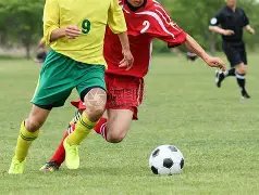 布莱顿何以,玩转豪门,赚金盆满钵,太阳城,太阳城娱乐,太阳城app,太阳城赌场