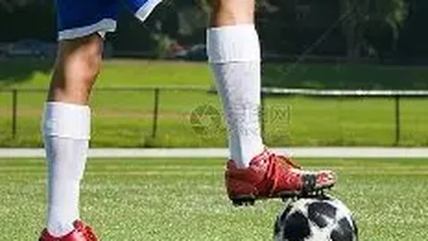 曼联缅怀：百年豪门传奇博比·查尔顿离世